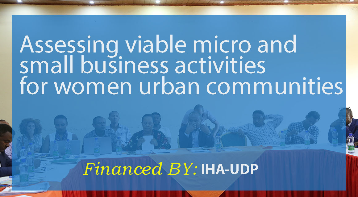 Assessing viable micro and small business activities for women urban communities