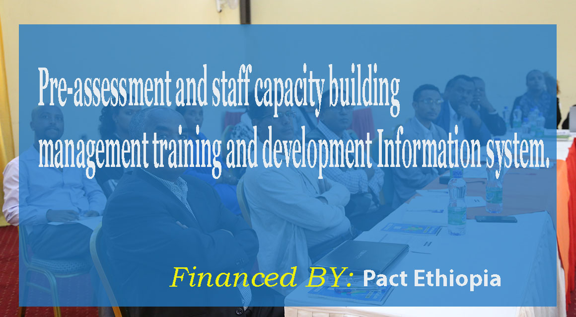 Pre-assessment and staff capacity building management training and development Information system. 